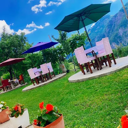 The Eagle 게스트하우스 Gjelaj